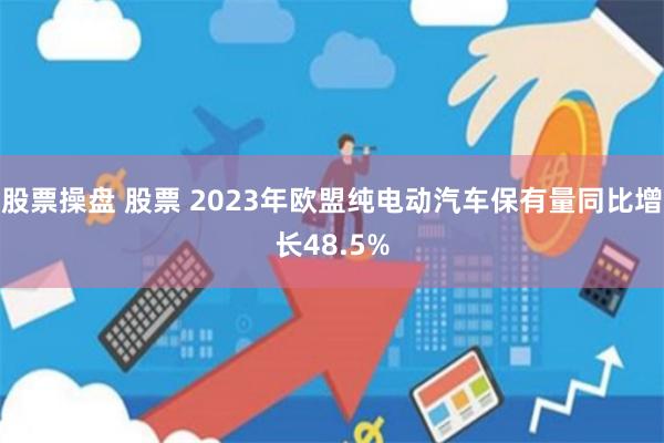 股票操盘 股票 2023年欧盟纯电动汽车保有量同比增长48.5%