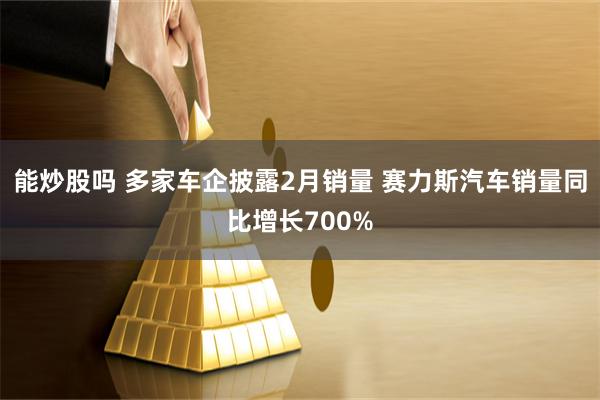 能炒股吗 多家车企披露2月销量 赛力斯汽车销量同比增长700%