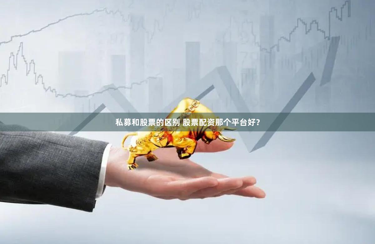 私募和股票的区别 股票配资那个平台好?