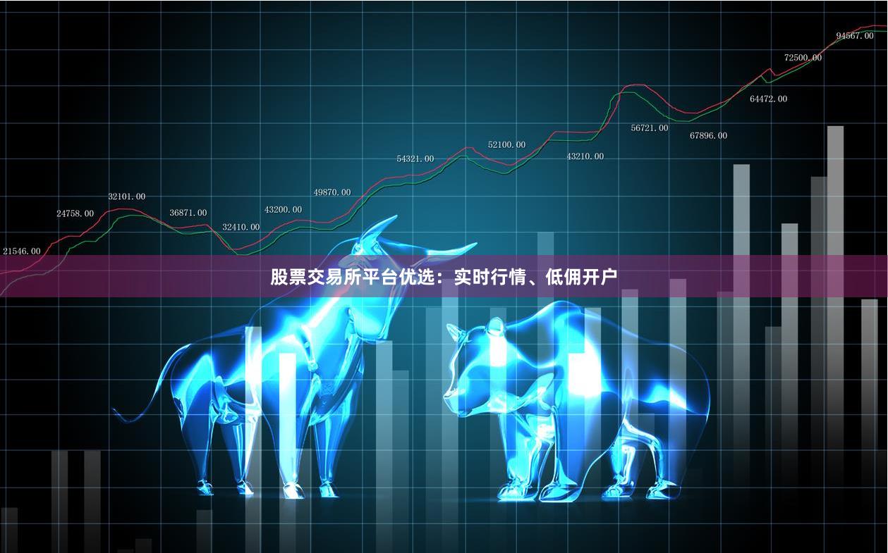 股票交易所平台优选:实时行情、低佣开户